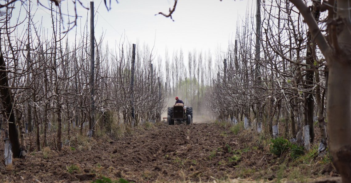 La fruticultura en la Norpatagonia: concentración, sujetos sociales y transformaciones capitalistas