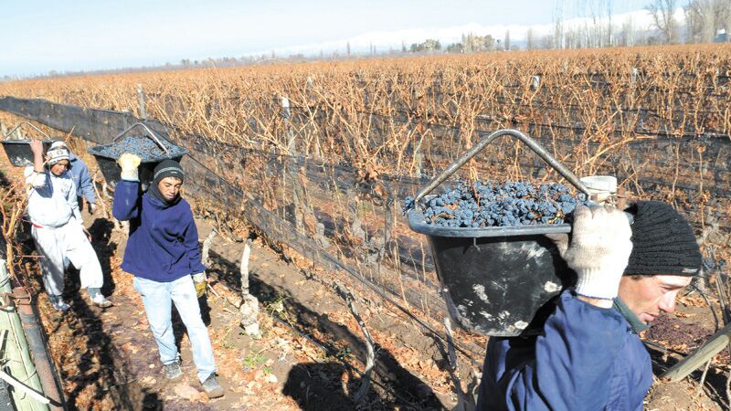 Impuesto al vino: el golpe que Cornejo no esperaba