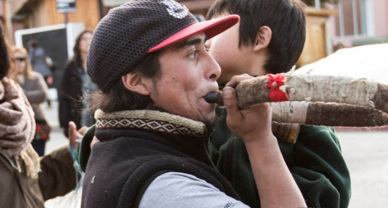 No mataron a una persona, mataron a un mapuche