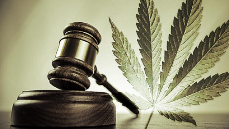 El cannabis medicinal: sus contradicciones y falencias legales