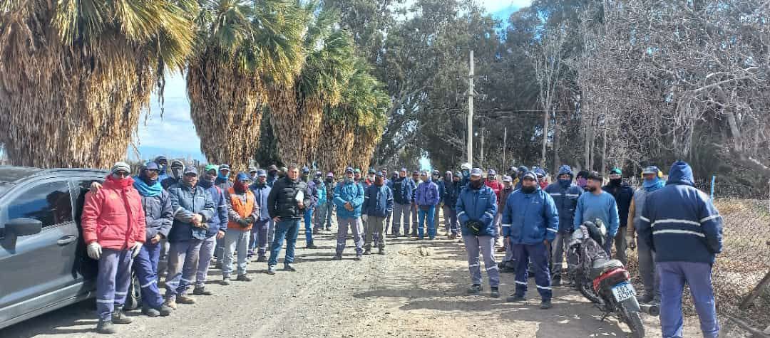 Trabajadores vitivinícolas enfrentan el ajuste: “No nos queda otra que pelearla”