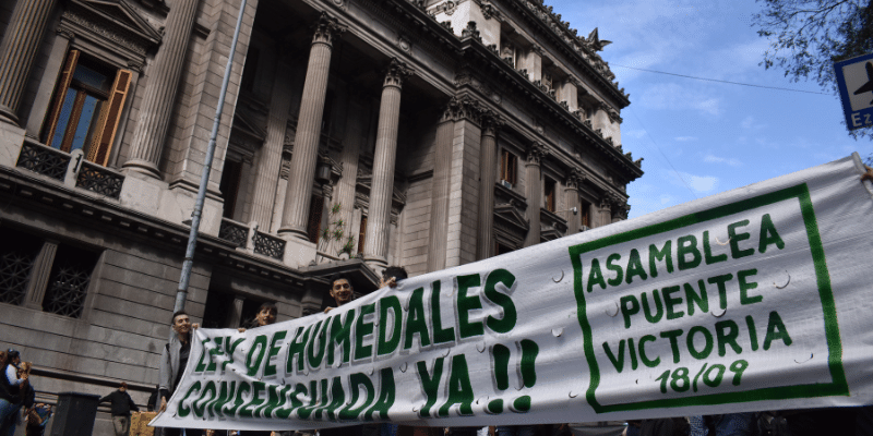 Activistas socioambientales viajan al congreso a exigir la Ley de humedales