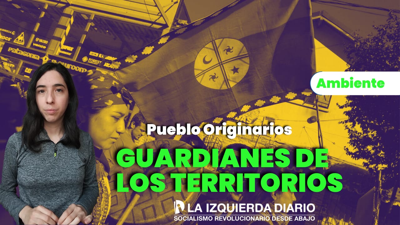 Criminalización, discursos de odio y despojo contra los pueblos originarios