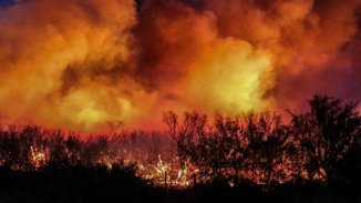  Graves incendios forestales en Mendoza y La Pampa: más de 230 mil hectáreas quemadas