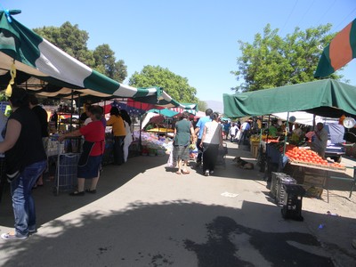 La batalla de los comerciantes de la feria Ambulante Santa Claudia de la comuna de La Granja