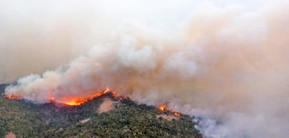 Fuera de control: en Chubut ya son más de 7000 hectáreas arrasadas en Parque Nacional los Alerces