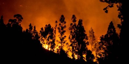 Incendios forestales en la Araucanía superan la cifra del año pasado