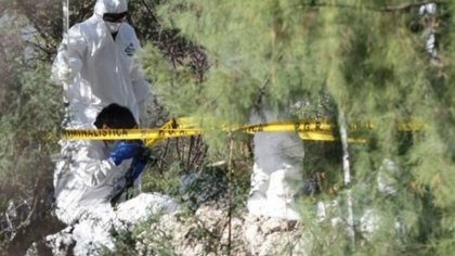 Nayarit: hallan 23 cuerpos en fosas clandestinas en el estado de Sandoval