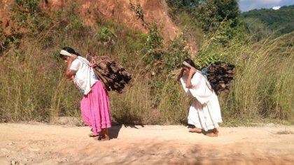 Detrás los surcos: historias de las mujeres de San Quintín