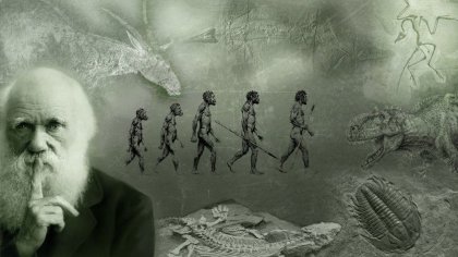 Un nuevo aniversario del nacimiento de Charles Darwin ¿Cuáles son los aspectos revolucionarios de su teoría?