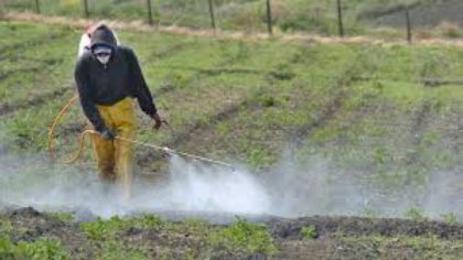 Barrio platense contaminado: ¿Qué pasó en El Toboso?