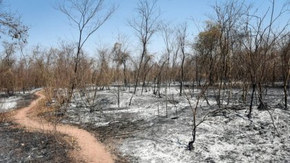 Natalia Morales denunció los incendios de Jujuy en el programa de Bercovich