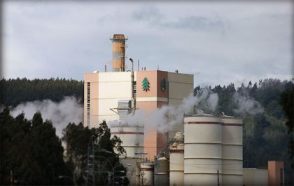 Tensión tras sumario contra Celulosa Arauco por derrame de residuos en Coelemu