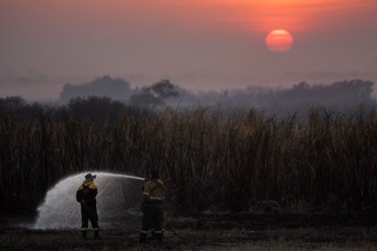 Las Yungas bajo fuego: cuidar la casa común