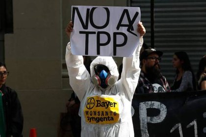 ¿Qué es el TPP-11? La disputa por los recursos naturales en un Chile convulso