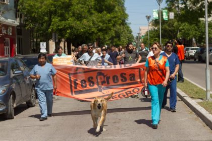 Río Negro: con 48 horas de paro exigieron paritarias específicas para salud 