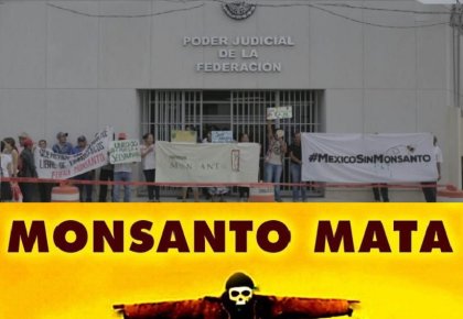 Campeche: productores mayas protestan contra acuerdo que favorece a Monsanto