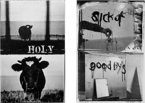 Izq: Holy Cow, 1984 / Der: Sick of Good By´s, 1978