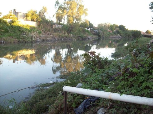 Orilla del arroyo El Gato llena de basura, a la altura del barrio platense de Ringuelet.