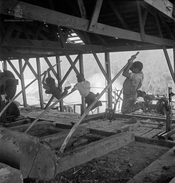 1971: Unidad de trabajadores y mapuche en el Complejo Maderero y Forestal Panguipulli 