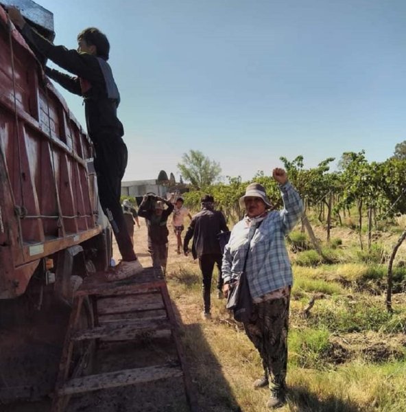 "Vitivinícolas": poema dedicado a las y los trabajadores vitivinícolas autoconvocados que disputan su sindicato