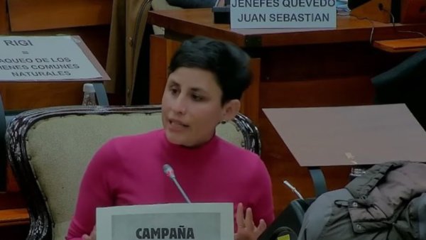 Natalia Morales: "Con el Rigi se destruyen espacios de vida y producción de familias indígenas"