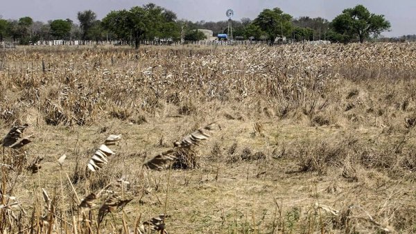 ¿Cómo evitar el desastre climático?: nuevo informe de la ONU prevé aumento de 2,6 °C 