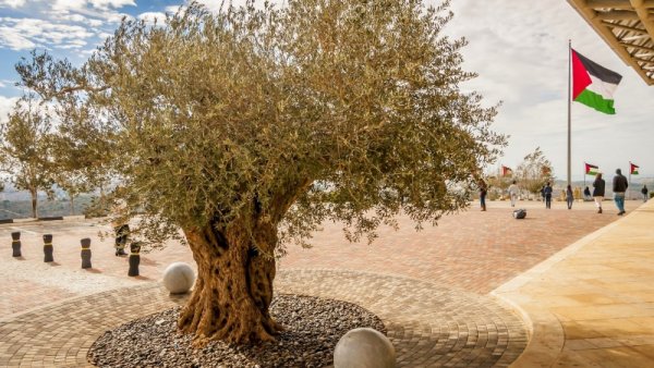 Conversaciones con la delegación alemana desde el Festival Farkha de Palestina