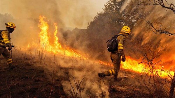 Galicia en llamas: cambio climático y crimen capitalista