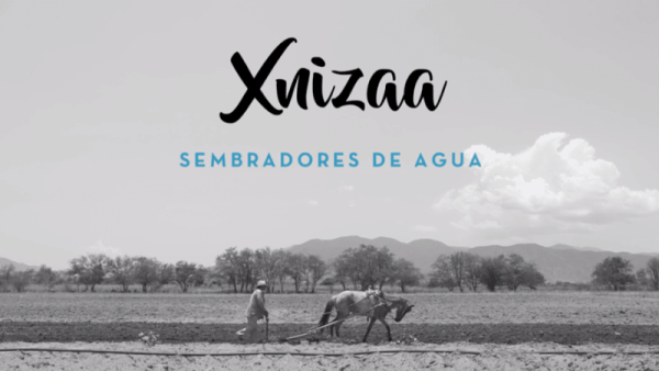 Comunidades zapotecas organizan "Xnizaa", una experiencia insólita de “siembra de agua”