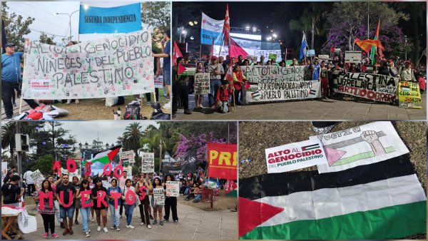 El grito ¡Alto al genocidio en Palestina! se hizo sentir en las calles jujeñas