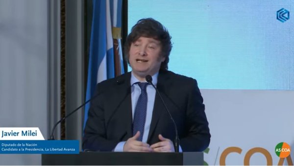 Milei: ajuste drástico, dolarización, reforma laboral, privatizaciones y pleitesía al FMI