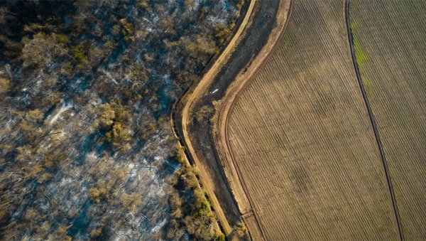 Fotogalería: más de 6000 hectáreas devastadas por los incendios en Jujuy