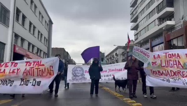 Gobierno propone multas y condiciona "motivos violentos" para encarcelar la pobreza y pueblo mapuche