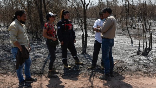 Alejandro Vilca exige que se investigue a fondo a los responsables de los incendios