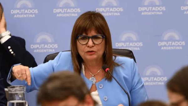 Bullrich busca que Diputados vote su idea de convertirnos a todos en potenciales “criminales”