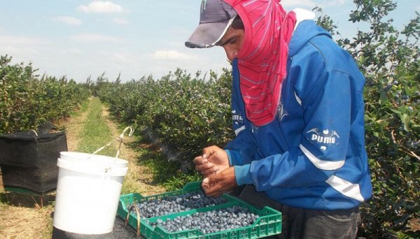 Concordia como símbolo del modelo: <i>Todos Juntos</i> rompieron el récord de trabajadores pobres