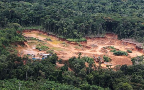 Mineras tienen concesionado el 22 % de bosques y selvas en México