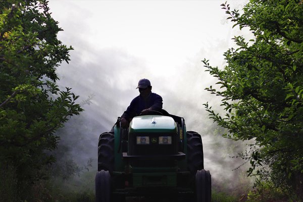 La Fruticultura en la norpatagonia: Ajustes gubernamentales y alternativas al modelo de exclusión 