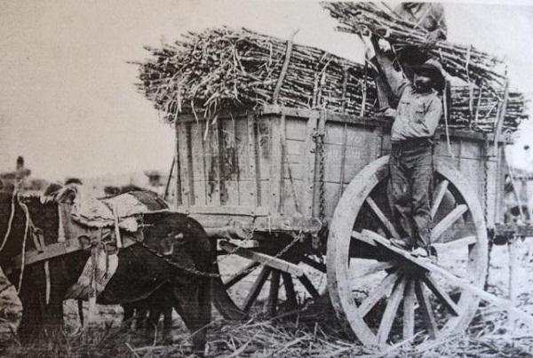 Campesinos jujueños