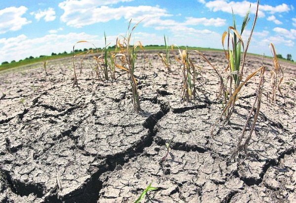  Otra consecuencia de la depredación de los bienes comunes naturales