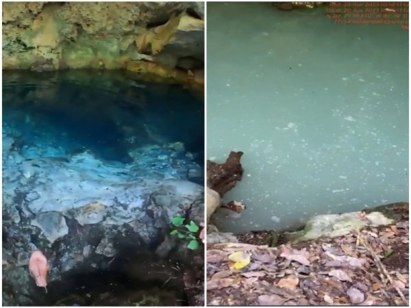 Ambientalistas denuncian la contaminación de cenotes por obras del Tren Maya