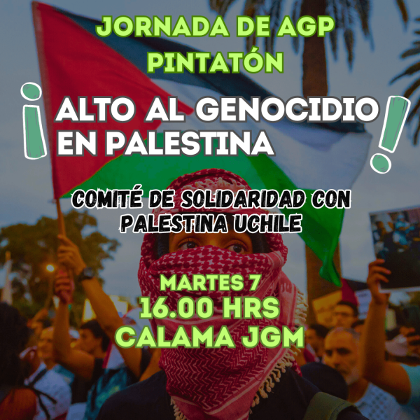 Estudiantes de la Universidad de Chile levantan Comité de Solidaridad con Palestina