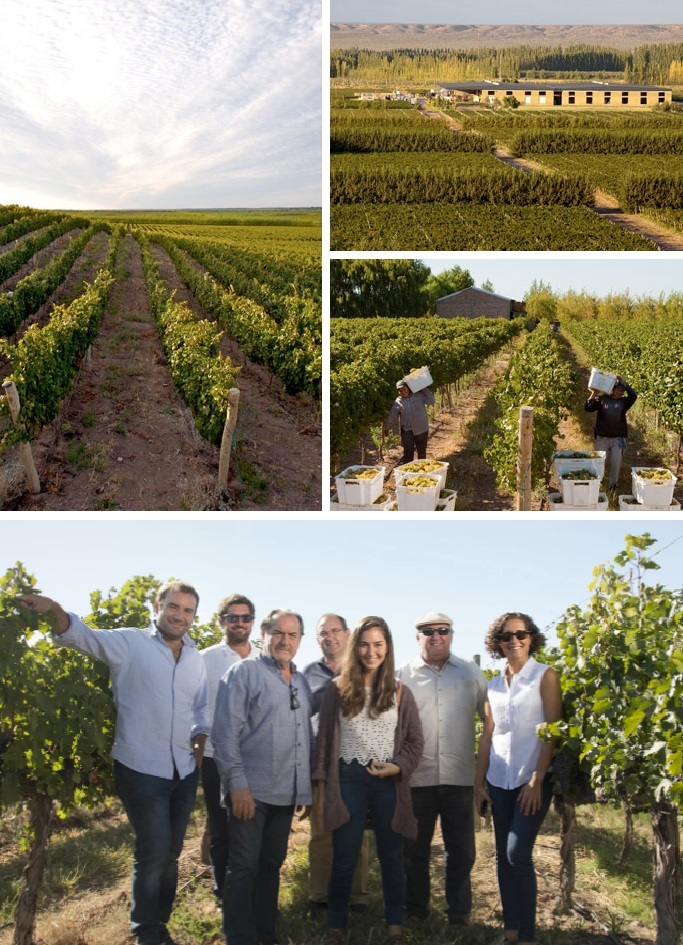 Los campos, los golondrina y algunos de los dueños de la bodega de lujo.