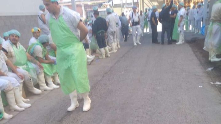 Trabajadores en el playón del frigorífico (fuente FB: TRABAJADORES DEL FRIGORIFICO RIOPLATENSE).