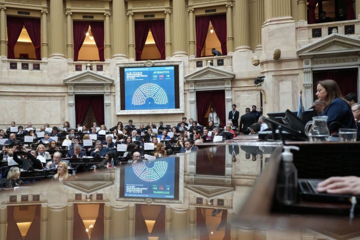 Cecilia Moreau, presidenta de la Cámara de Diputados, en la sesión especial l Foto: HCDN