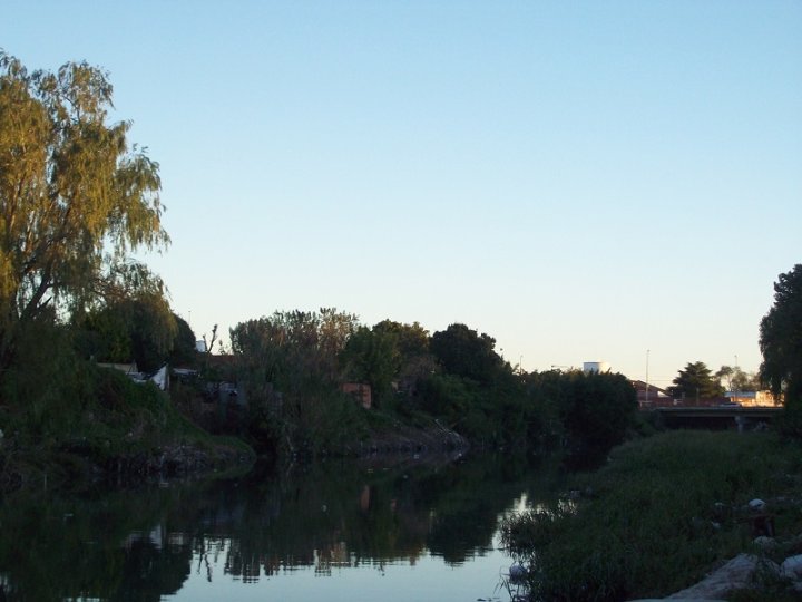 Orilla del arroyo El Gato a la altura del barrio platense de Ringuelet.