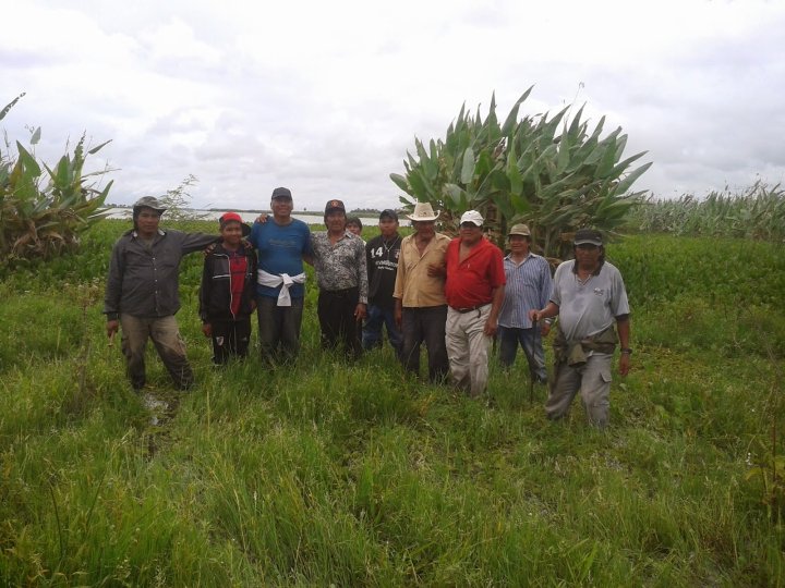 Foto: blog de la Comunidad La Primavera